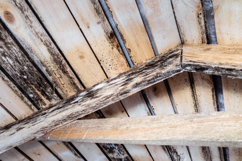 Ceiling Joist Repair in Wilmington, NC